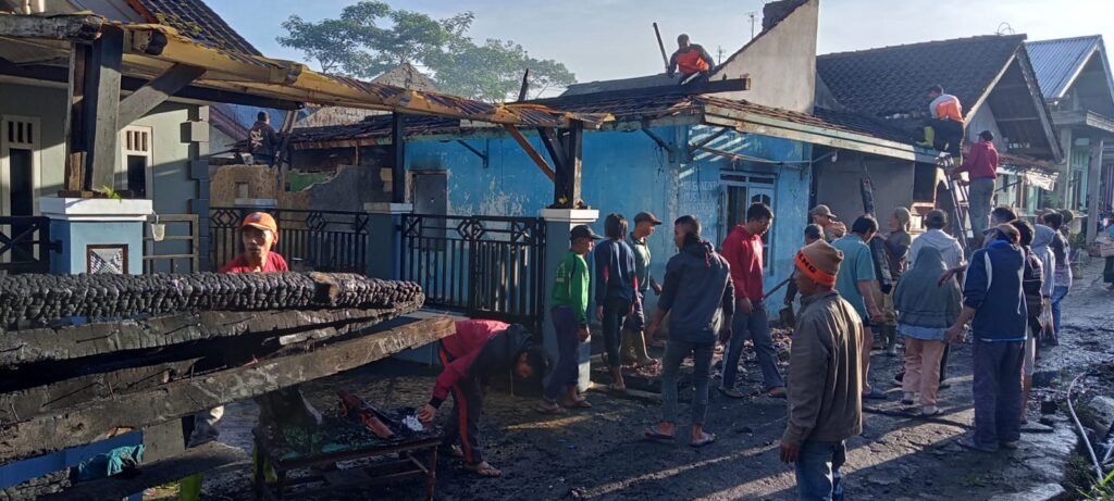 Jago Merah Lalap Rumah