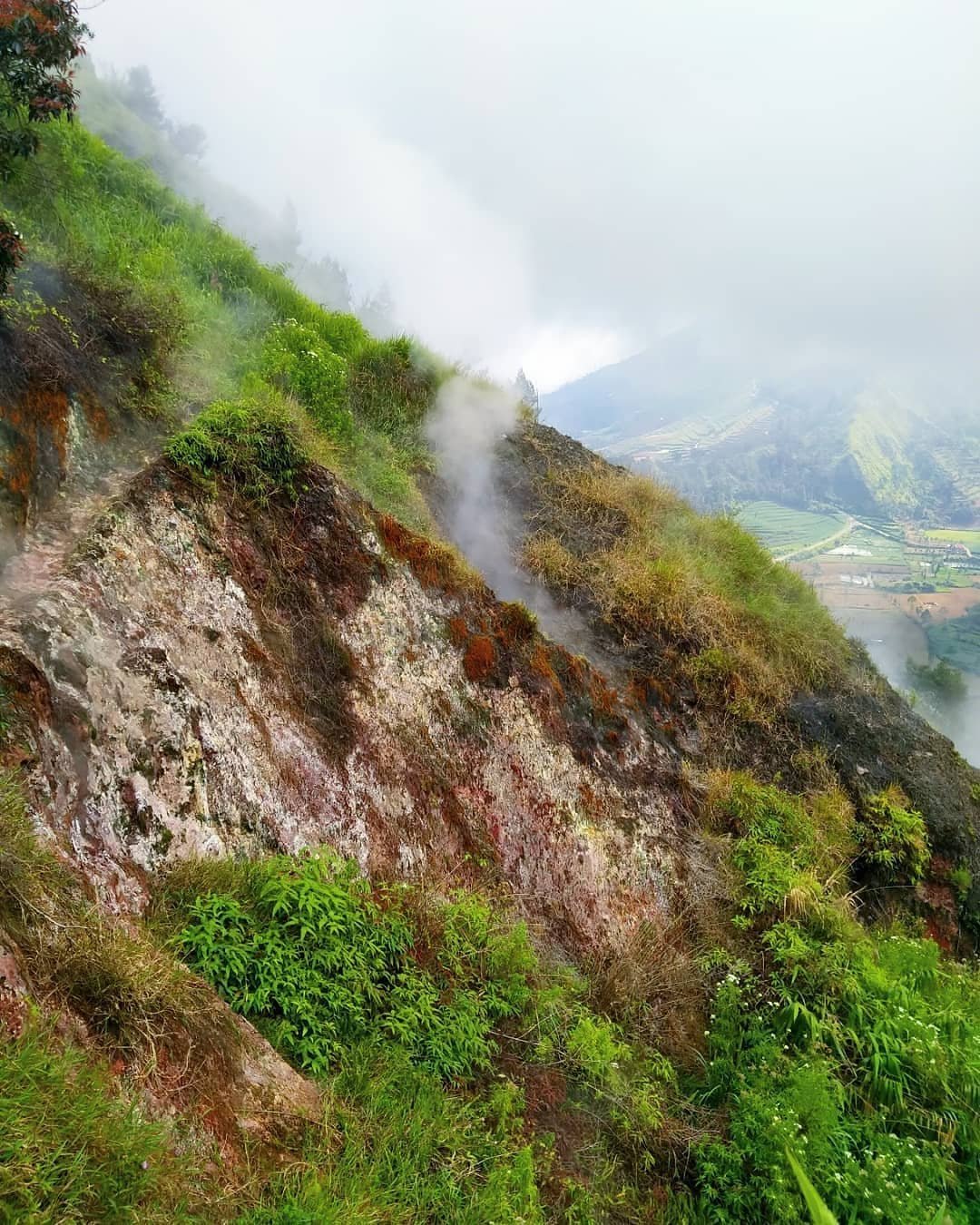 Bukit Sipandu Dieng Banjarnegara