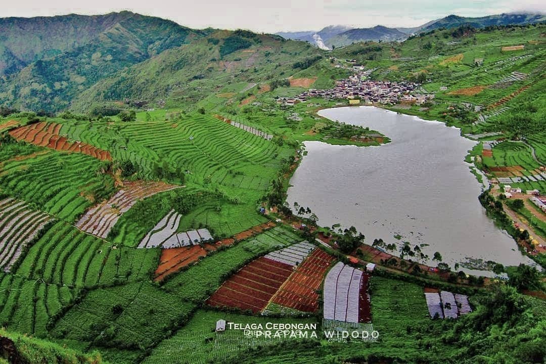 Menikmati Indahnya Dieng Dari Bukit Sikunir