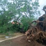 AGSI Jateng Sesalkan Adanya Somasi Alumni