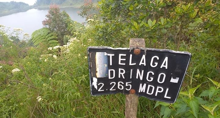3780869f-6583-4755-a793-058ea88f4c83 Si Ranukumbolonya Jawa Tengah Itu Bernama Telaga Dringo. Wisata Alternatif Saat Berada di Dieng Banjarnegara