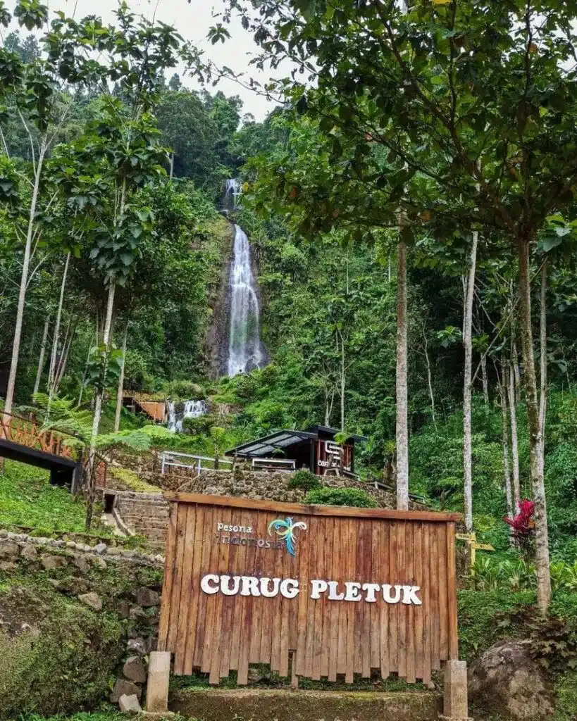 Pesona Tersembunyi di Tengah Hutan Banjarnegara Bernama Curug Pletuk