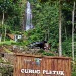 Pesona Tersembunyi di Tengah Hutan Banjarnegara Bernama Curug Pletuk