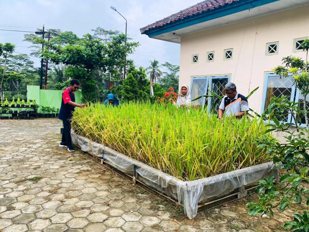 28b7eef5-14f3-4a37-836b-e36612f587cf-1024x768 Yekti Nunihartini Raih Juara di Lomba Teknologi Tepat Guna dengan Inovasi "Sawah Mini" untuk Urban Farming