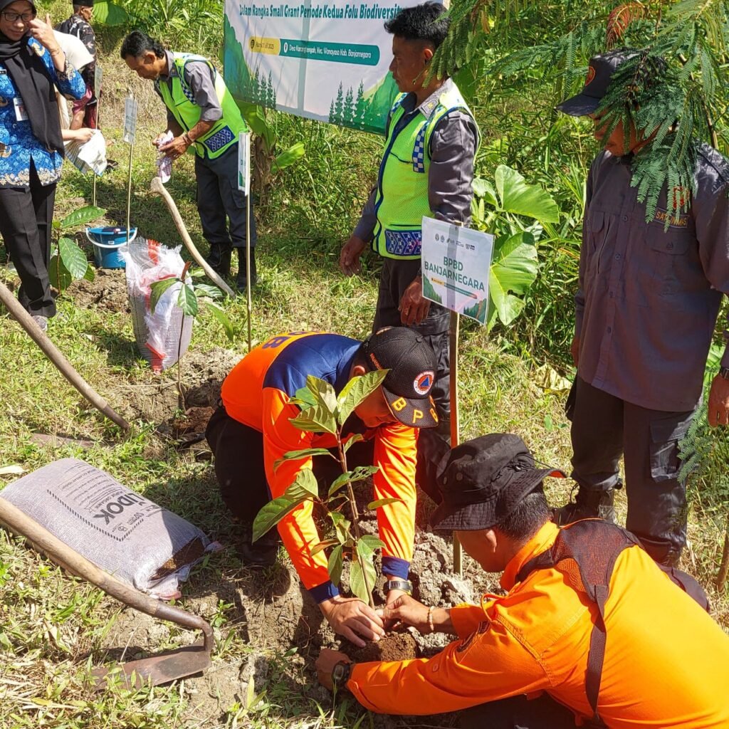 serayu-2-1024x1024 Serayu Network gandeng pemda dalam kegiatan Penanaman 1000 Ficus Wilada